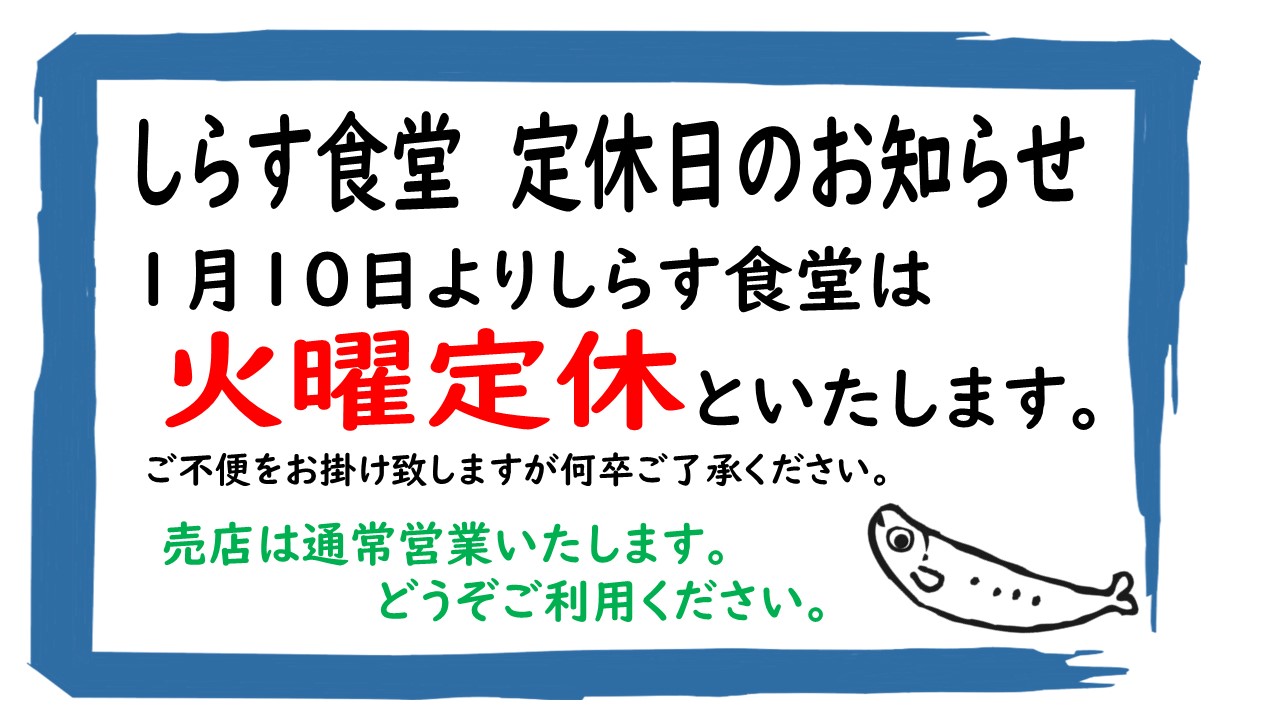 しらす食堂定休日のお知らせ