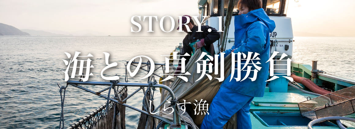 朝日共販のしらすの話　Story1 「海との真剣勝負」 しらす漁