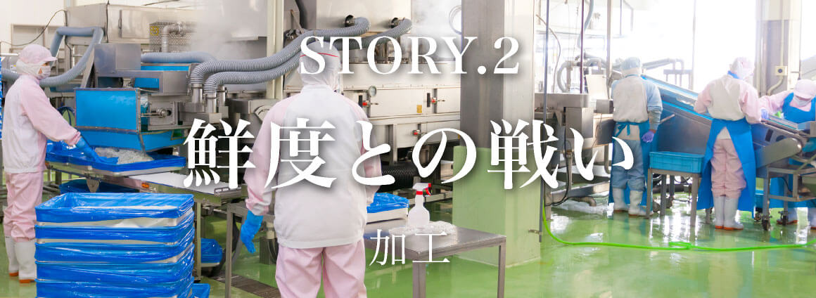 朝日共販のしらすの話　Story2 「鮮度との戦い」 加工