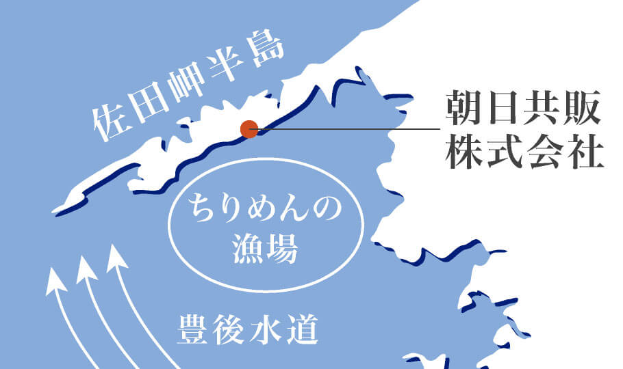 佐田岬周辺　ちりめんの漁場を示したイラスト