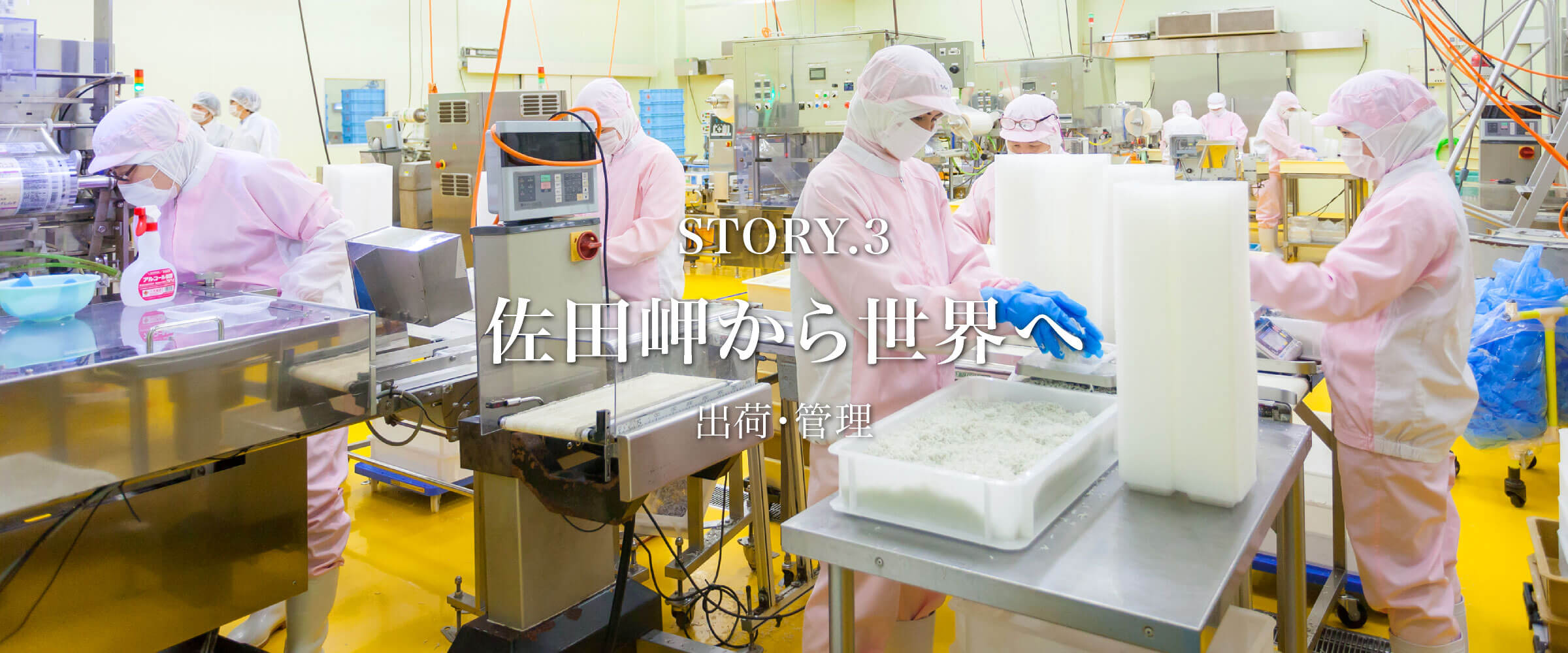 Story3 「佐田岬から世界へ」 出荷・管理