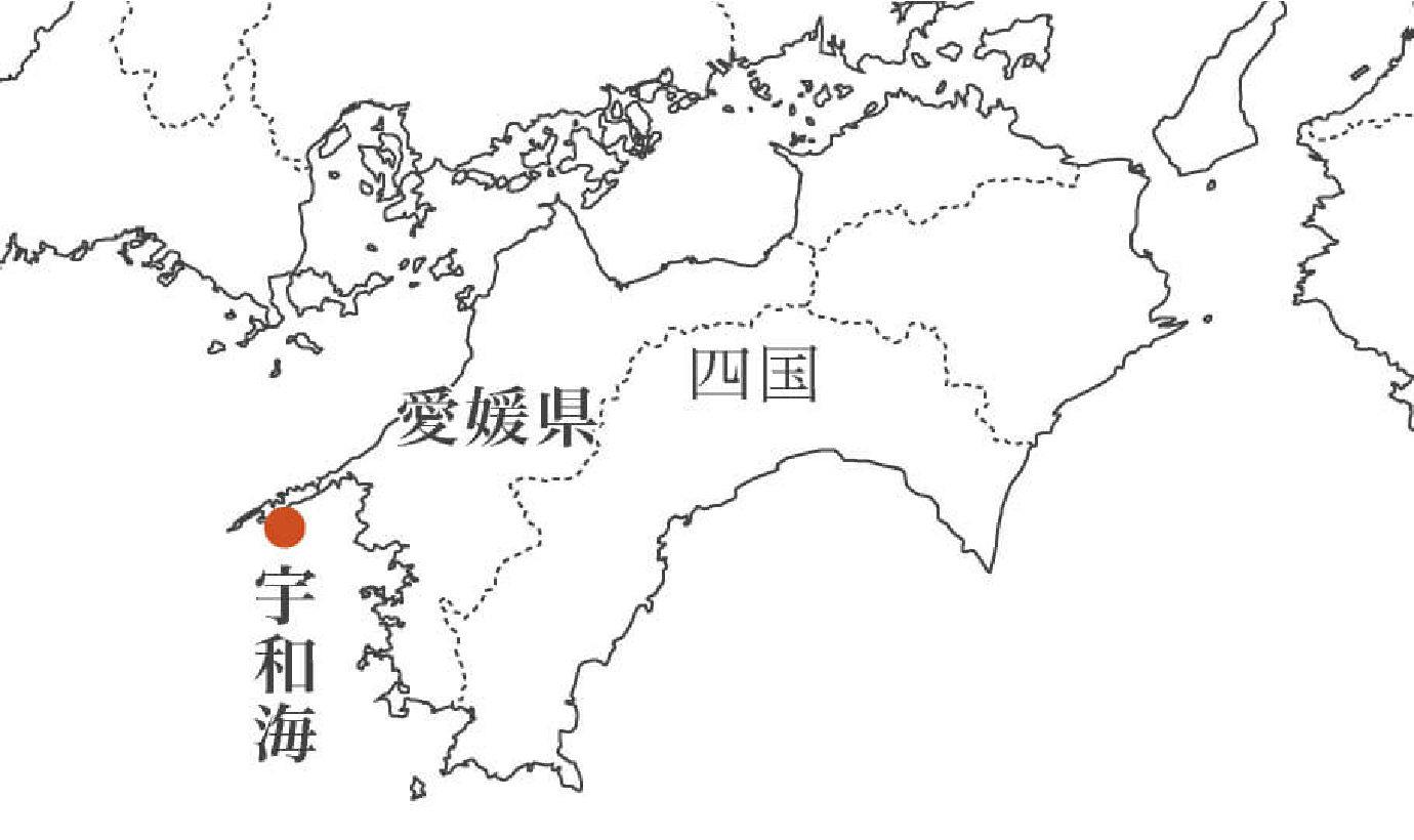 日本屈指のしらすの漁場