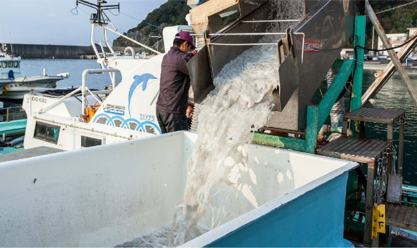 漁場から加工場へ30分の戦い